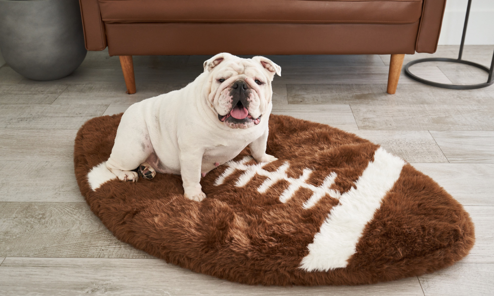 Paw Sports Orthopedic Dog Beds 