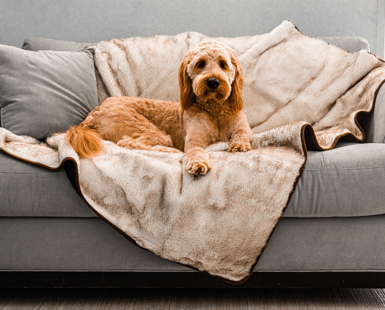 PupProtector™ Short Faux Fur Waterproof Throw Blanket - White with Brown Accents - Pawcom Canada product image