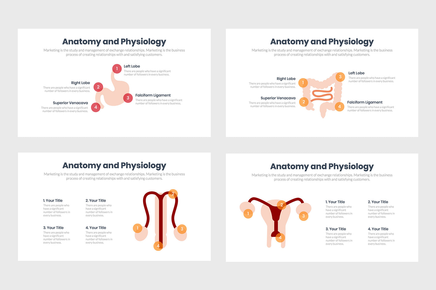 Anatomy and Physiology Infographics – infograpify