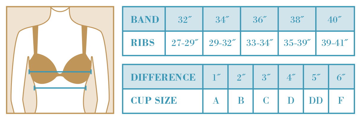 What are cup sizes? Did you know that D Cup boobs is the same volume of ...
