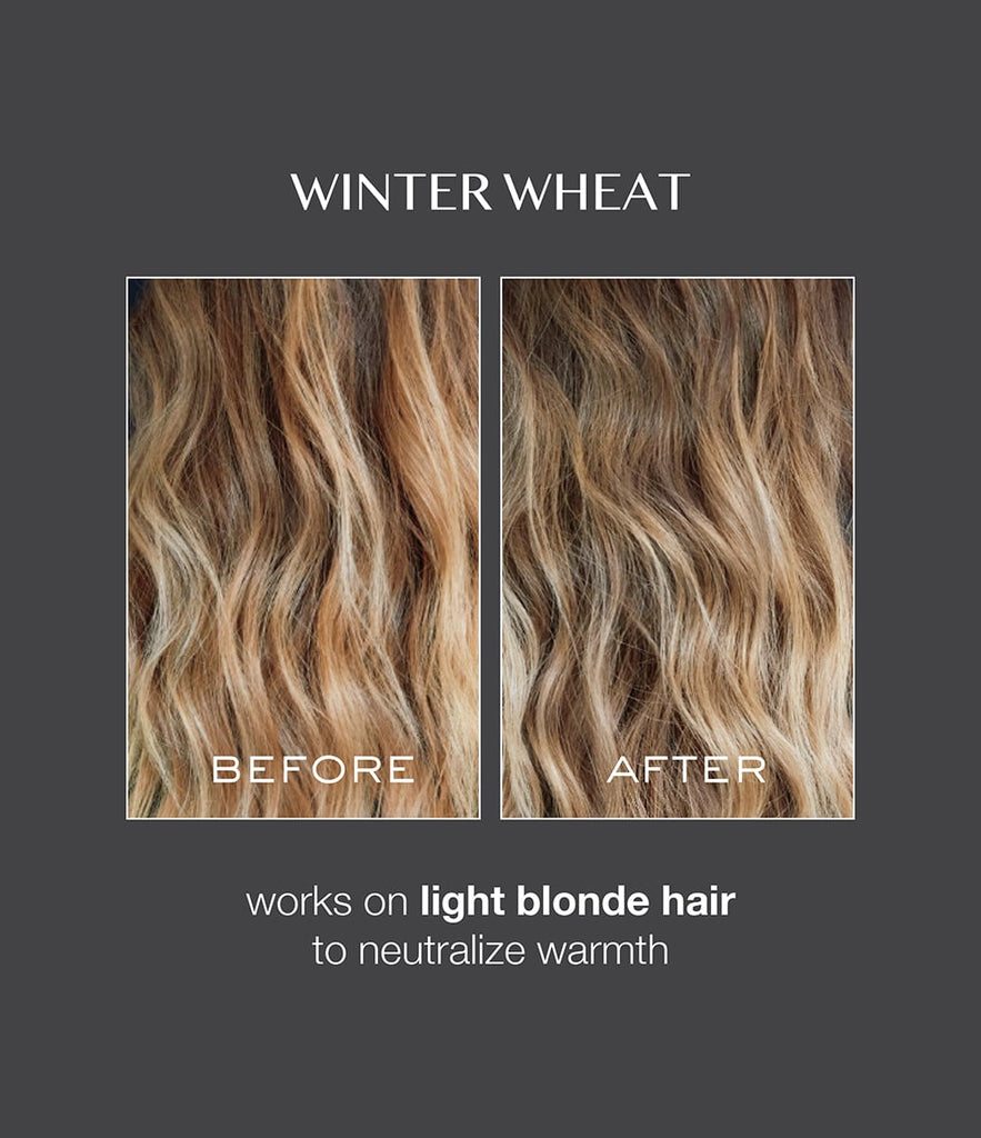 Signature Hair Gloss - Winter Wheat – Kristin Ess Hair