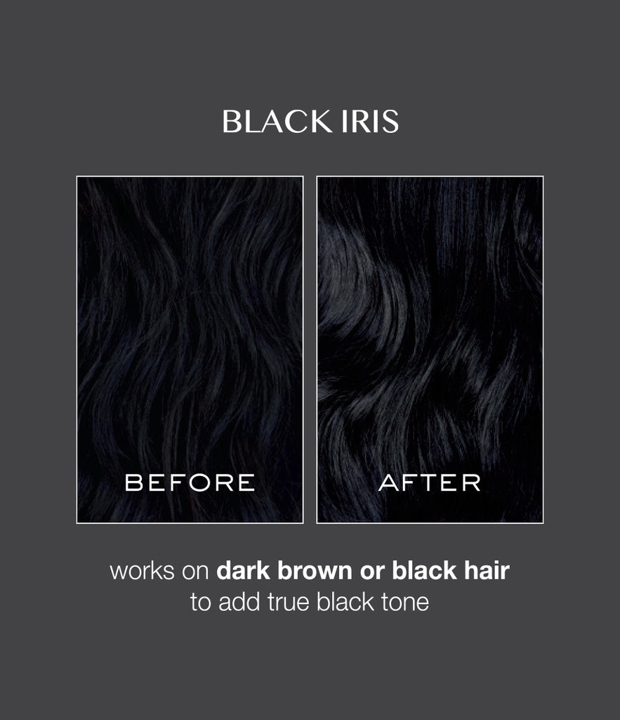 Signature Hair Gloss - Black Iris – Kristin Ess Hair