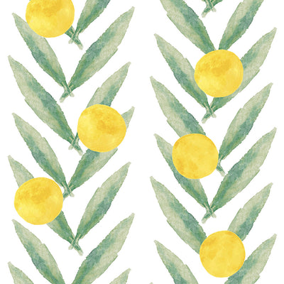 Freshly Squeezed Wallpaper in Teal and Lemon Yellow | Lust Home