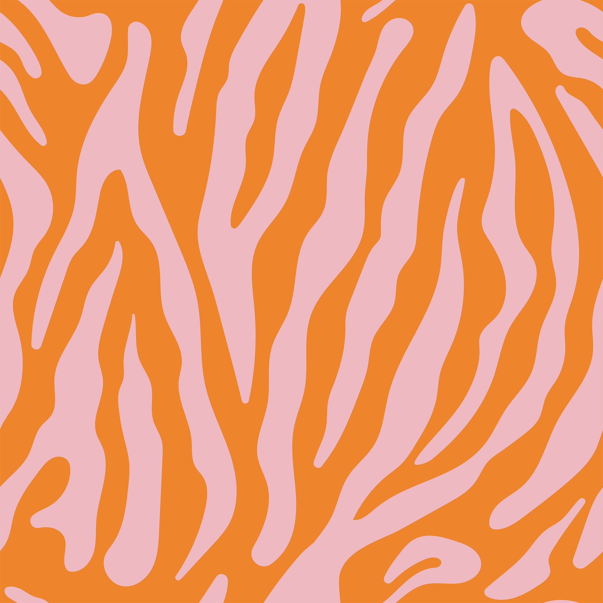 Pink Zebra Fabric Wallpaper and Home Decor  Spoonflower