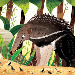 Giant anteater from What Can You Do, South America? children's board book