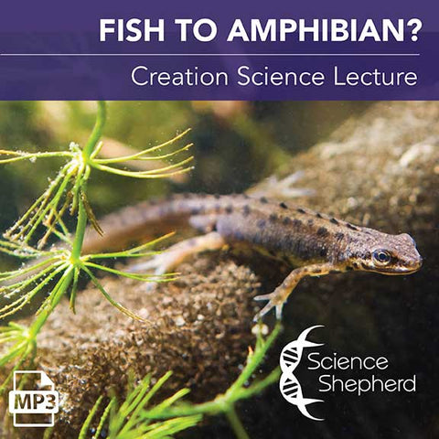 Cover of Fish to Amphibian free mp3, amphibian on branch