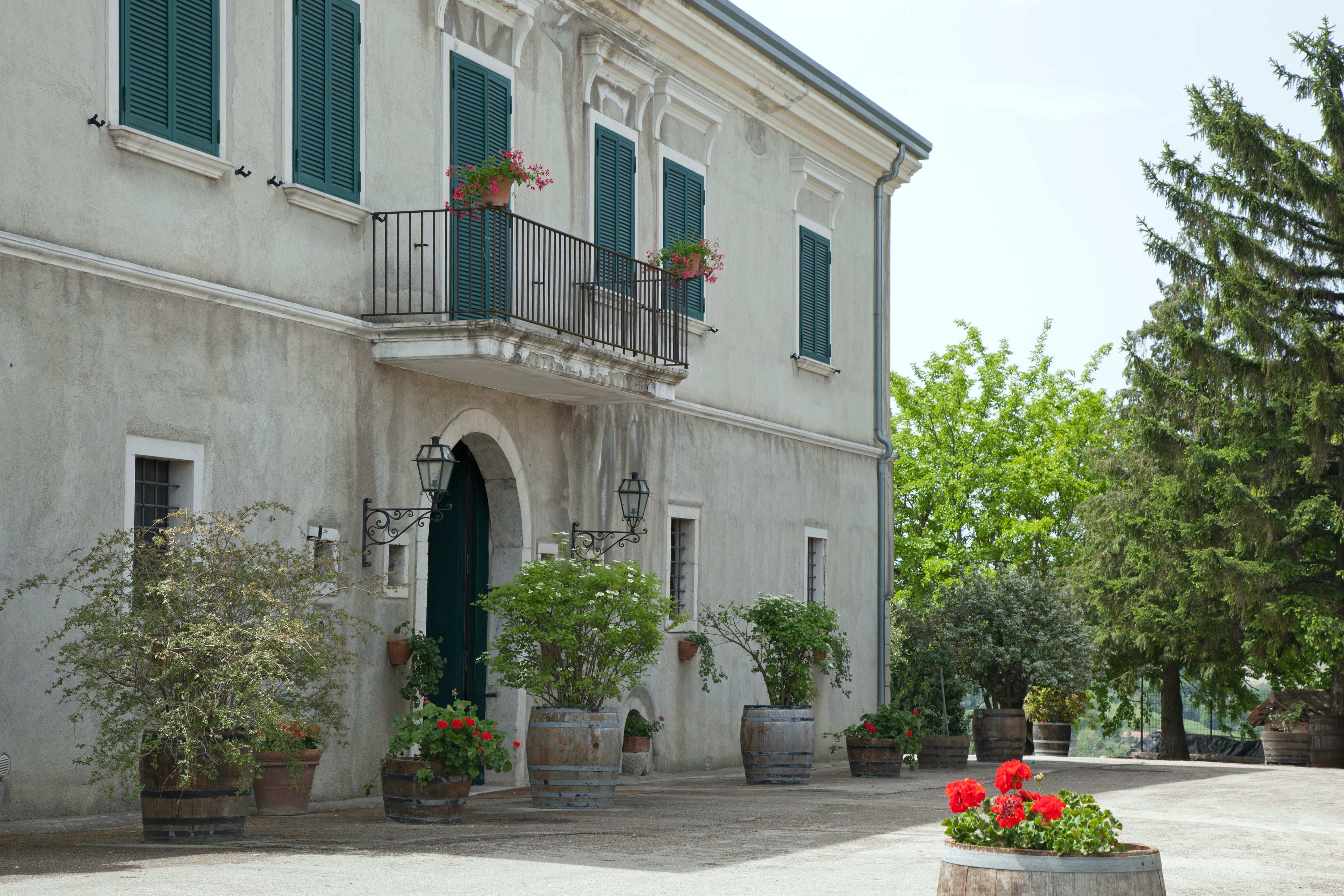 Vigna Campania