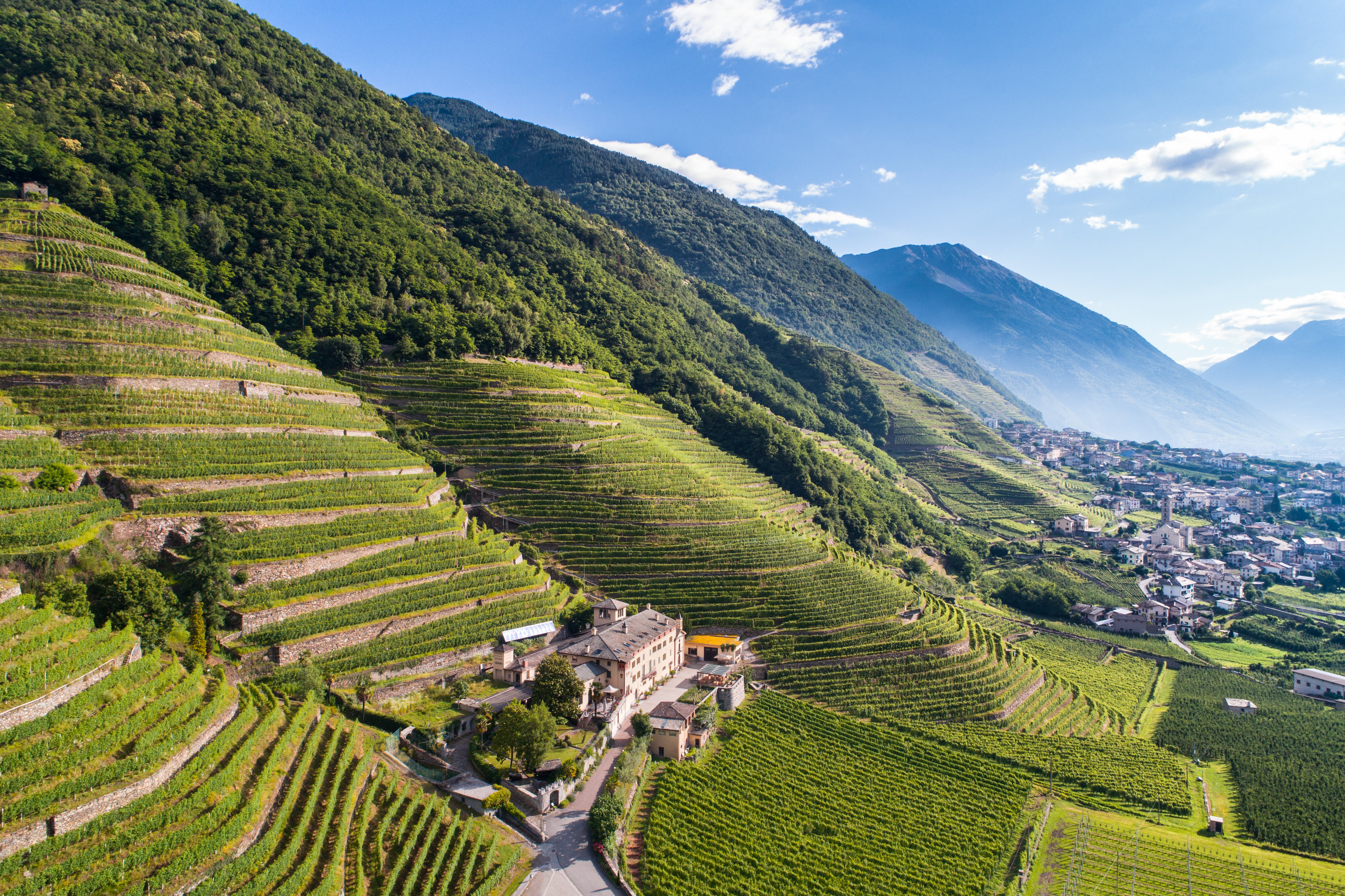 Vigna Lombardia