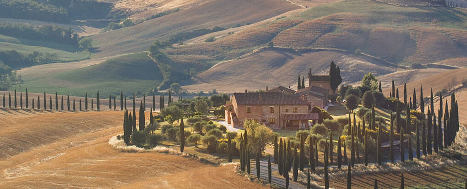 Vigna Toscana