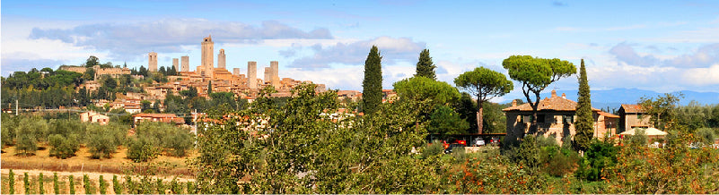 Vigna Toscana