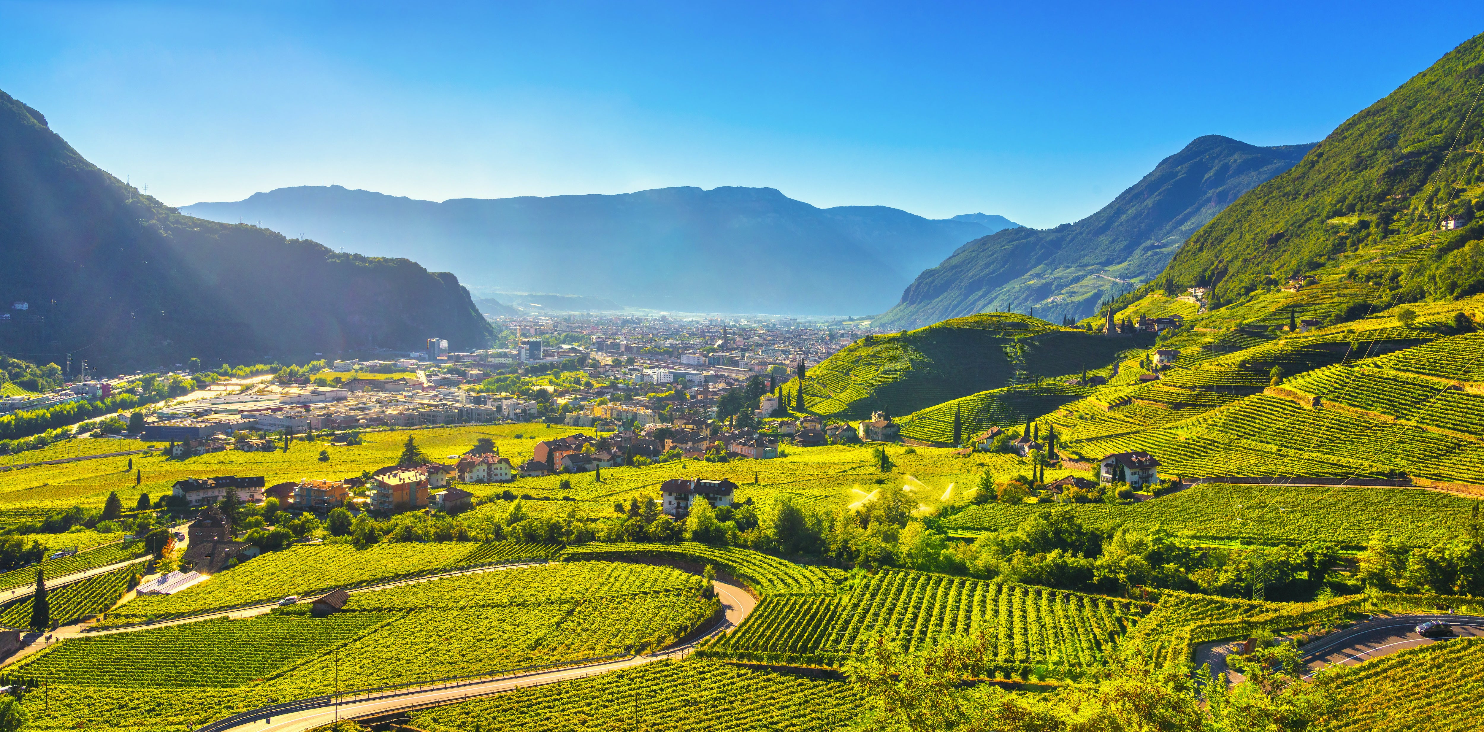 Vigna Trentino Alto Adige