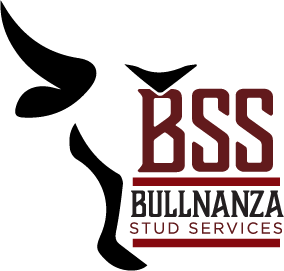 Bullnanza.com