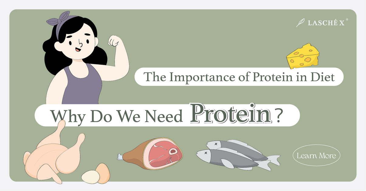 Why Do We Need Protein The Importance Of Protein In Diet 27group 9454