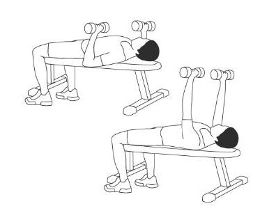 5 Exercise Bench Home Workouts Reebok Fitness (Australia)