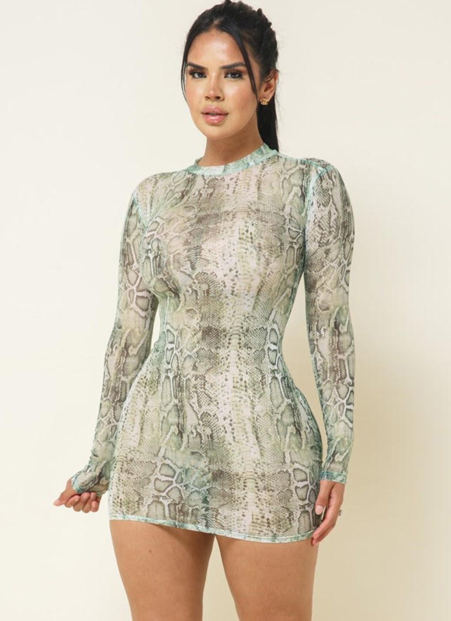 Womens Snakeskin Print Mesh Long Sleeve Dress, Green, Size L