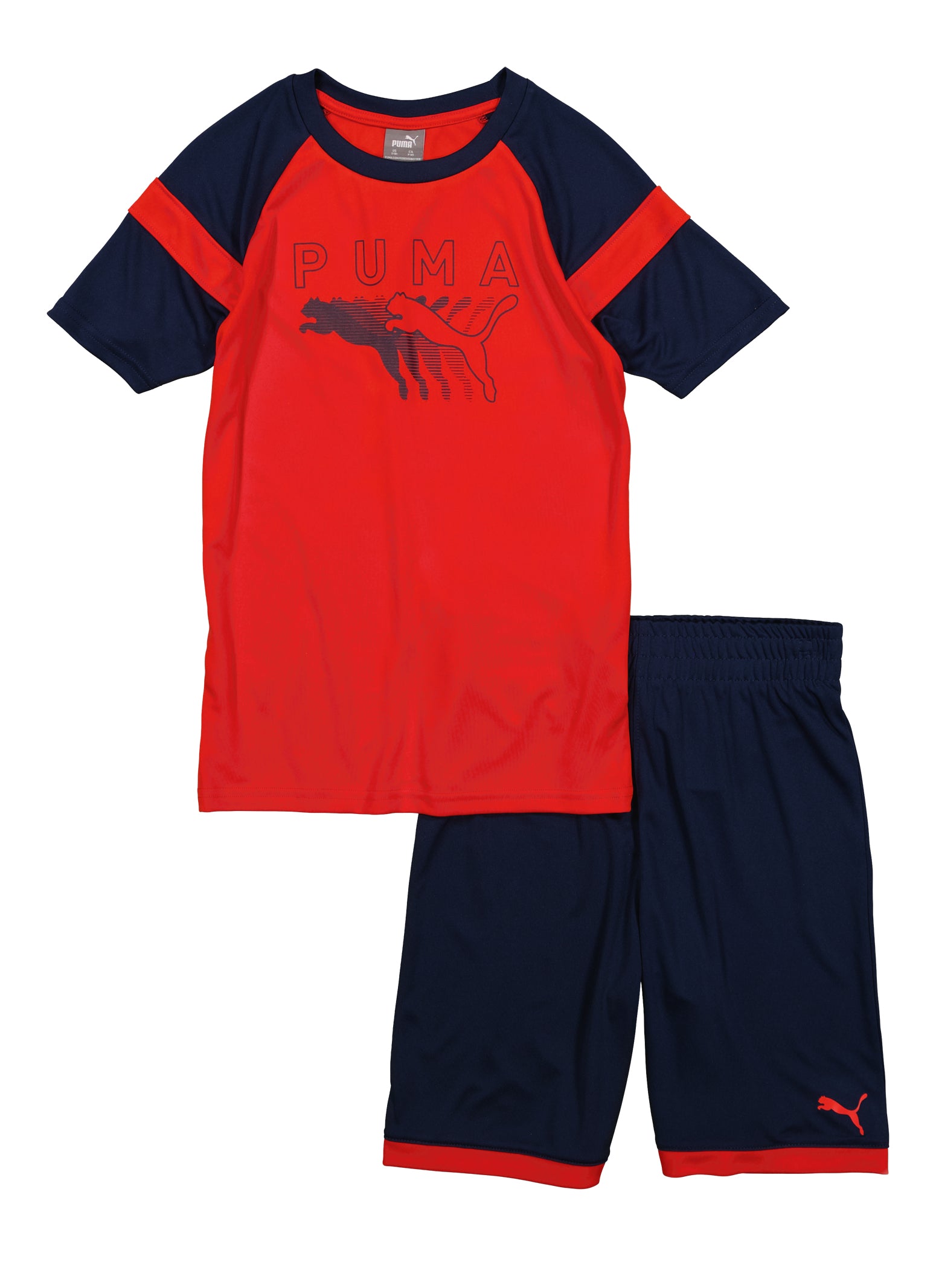 Boys Puma Color Bock Graphic Tee and Shorts, Red, Size 14-16