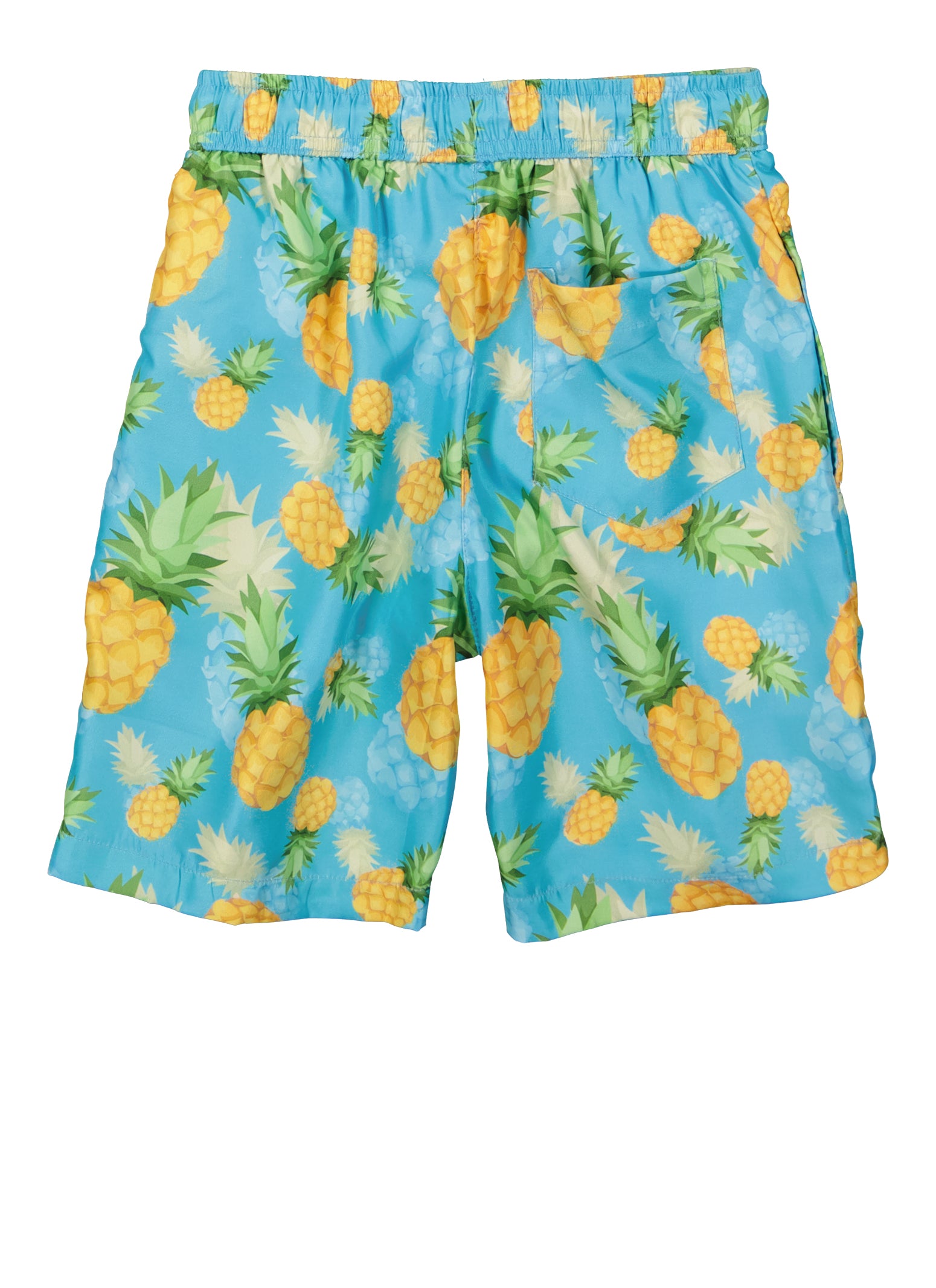 Boys Pineapple Print Swim Trunks, Blue, Size 14-16