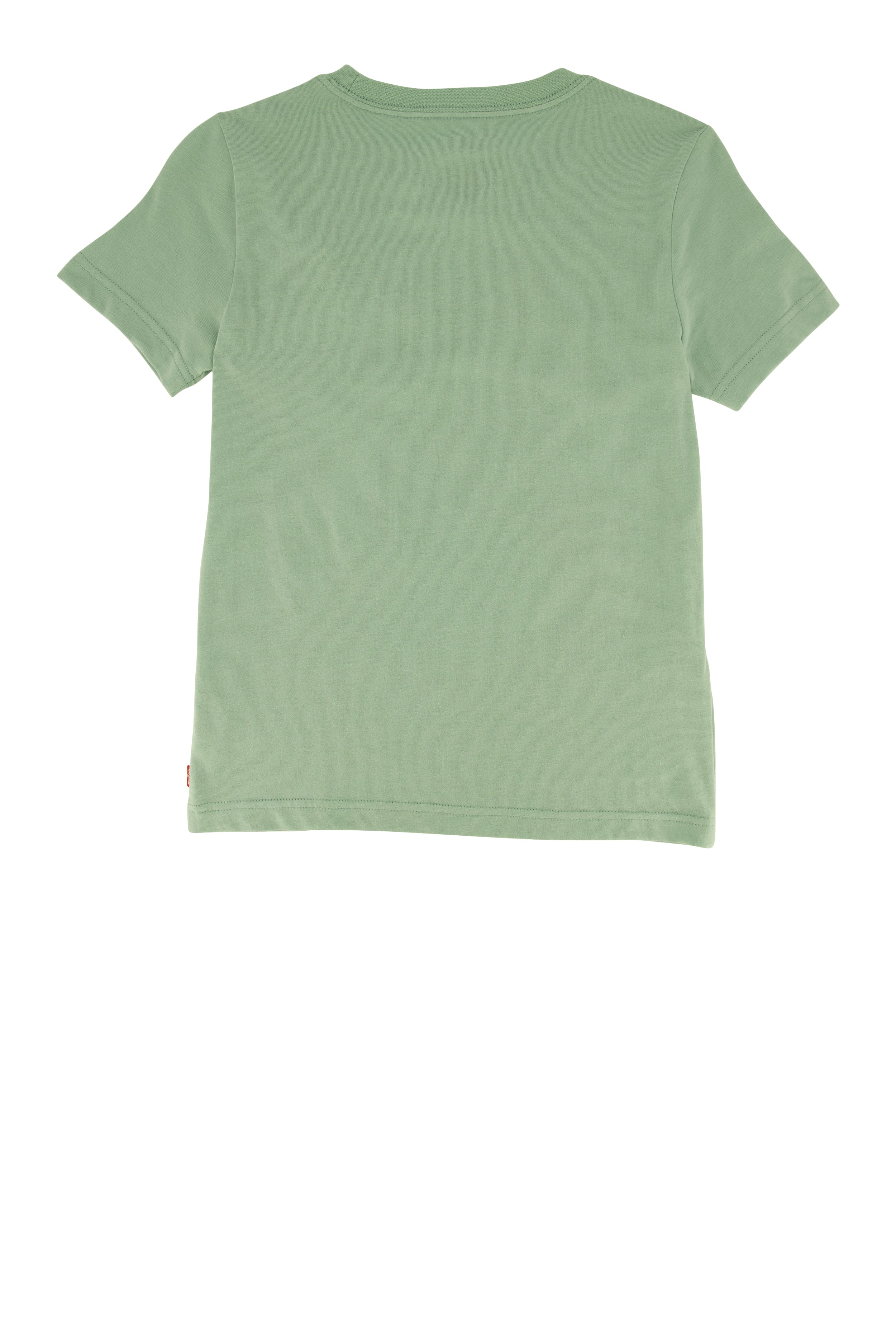 Boys Levis Strauss Graphic Logo Tee, Green, Size M