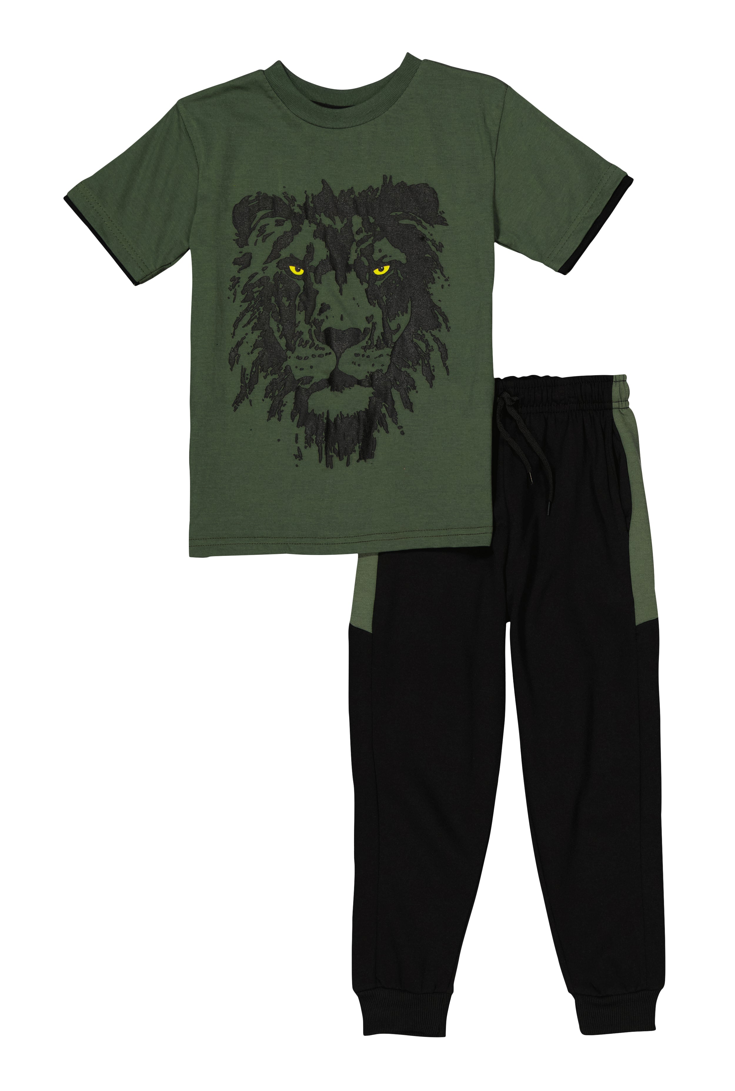 Little Boys Lion Graphic Tee and Joggers, Green, Size 7