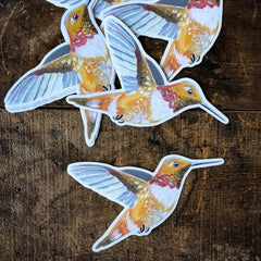 Hummingbird Sticker by Katie Daisy - Freshie & Zero