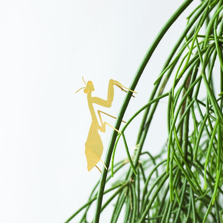 Brass Plant Accessory: Praying Mantis | Freshie & Zero