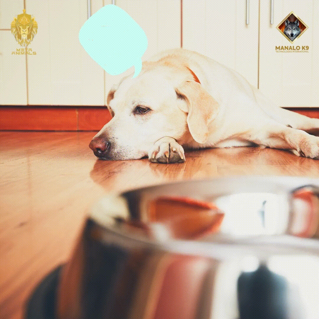 SuperDog Nutrition