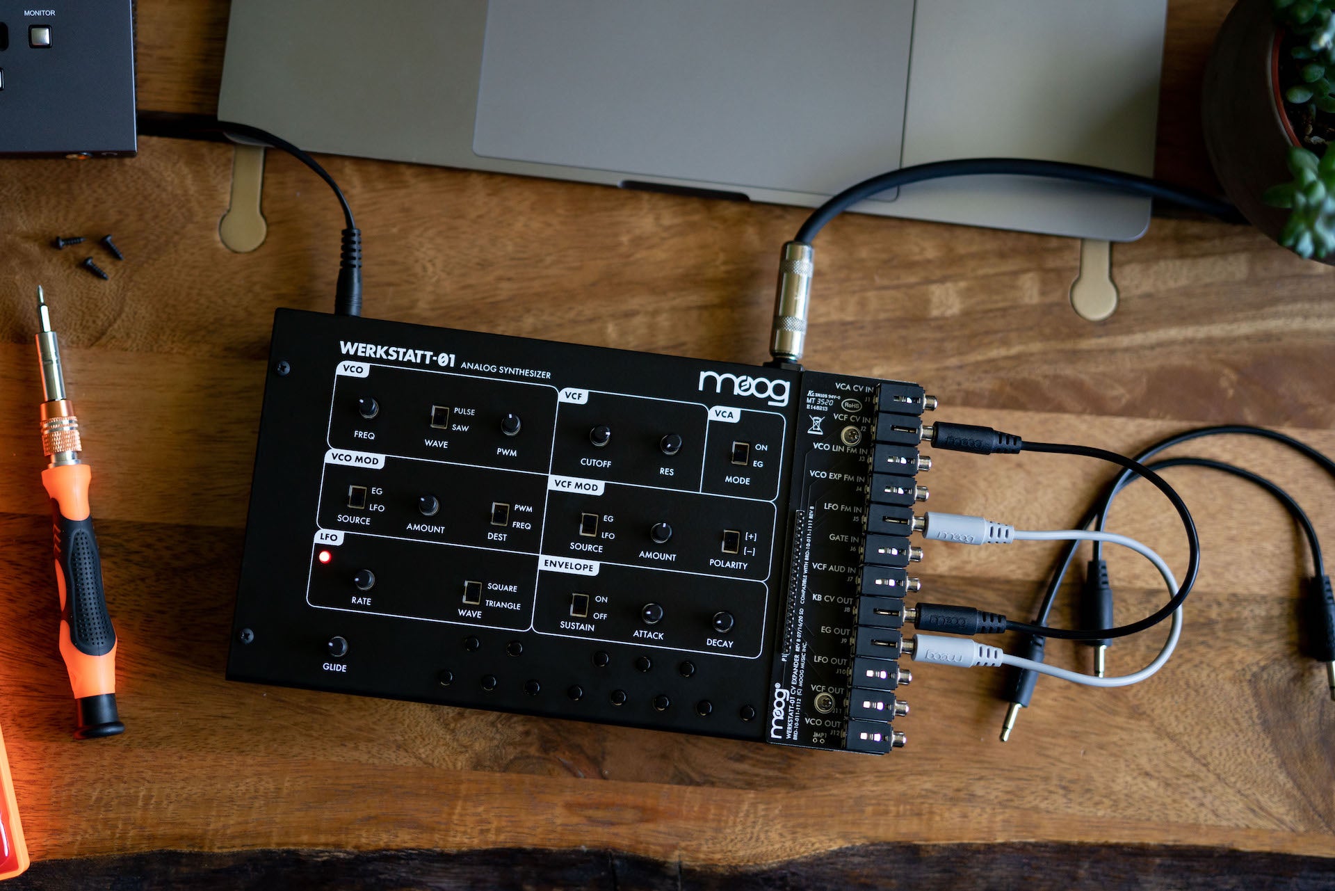 Moog Werkstatt-01 Analog Synthesizer 1
