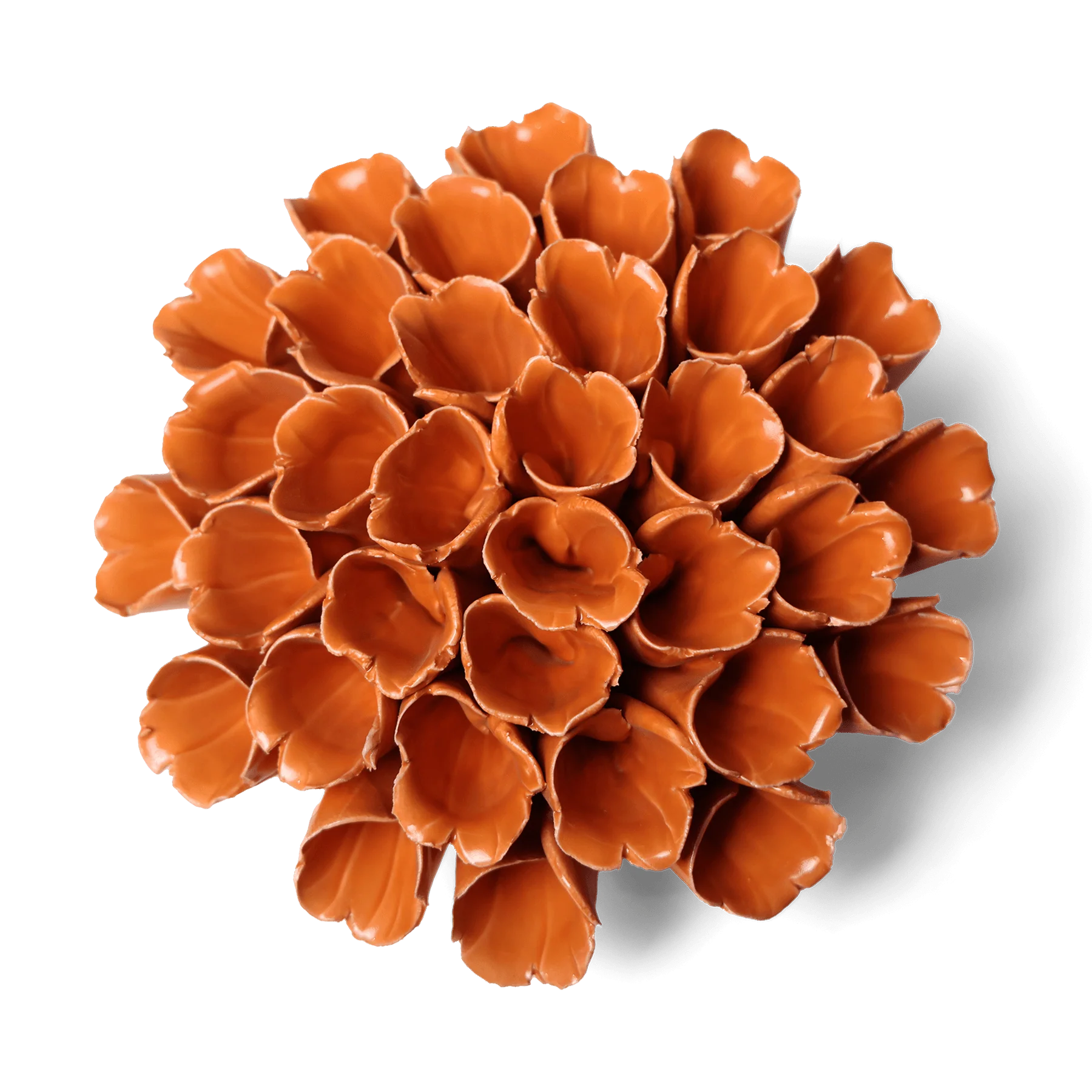 Ceramic Flower Wall Art Collection 5: Polyp Orange Large