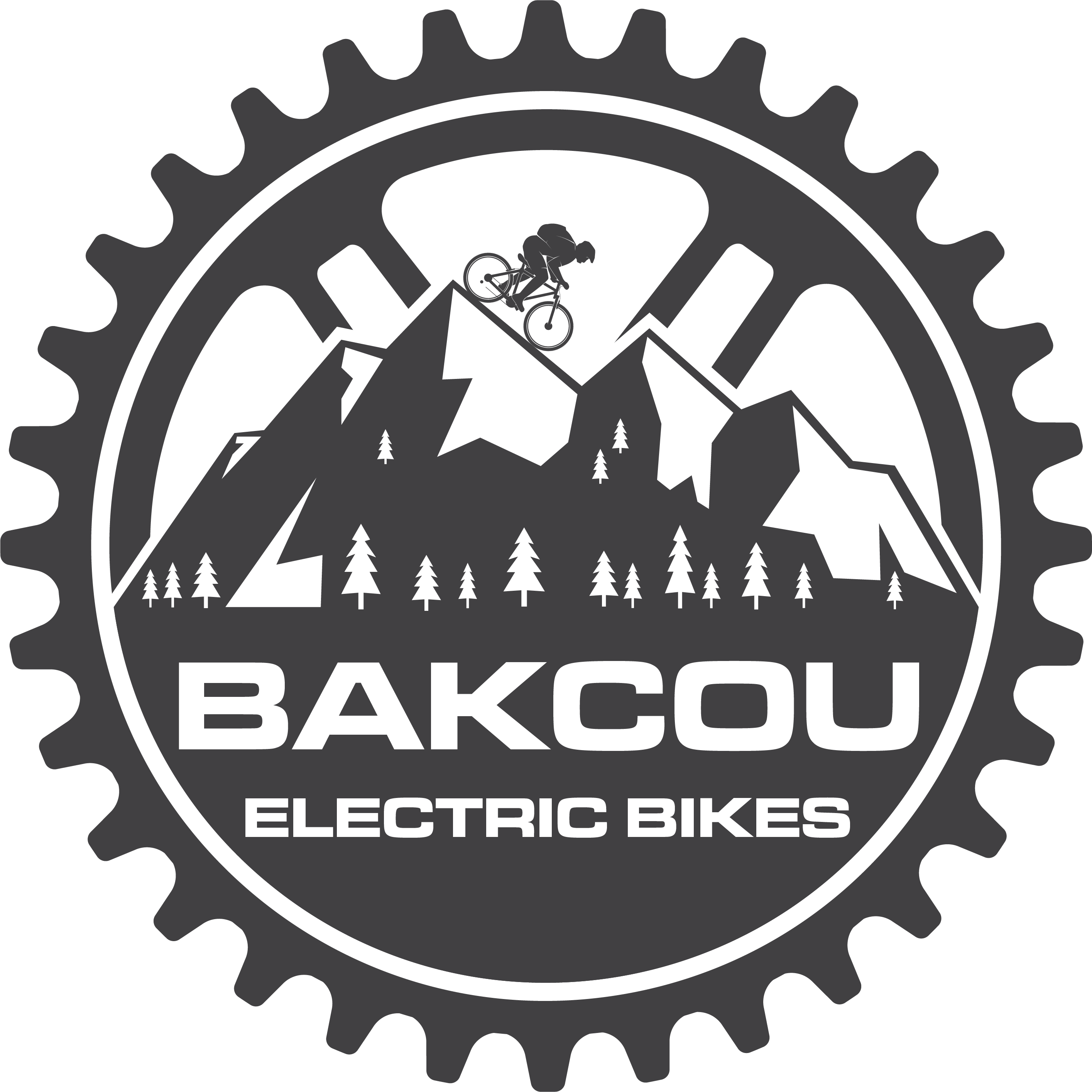 Bakcou EBikes – Crankworks Bicycles