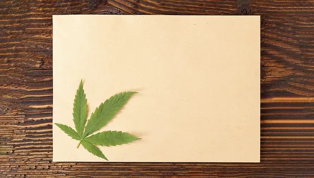 hemp paper