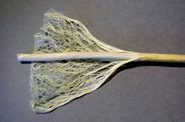 Separating hemp fibres