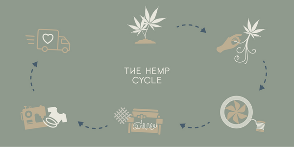 Hemp processing