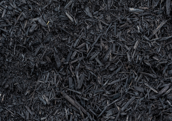Mulch Died Black with Rebark Mulch Dye