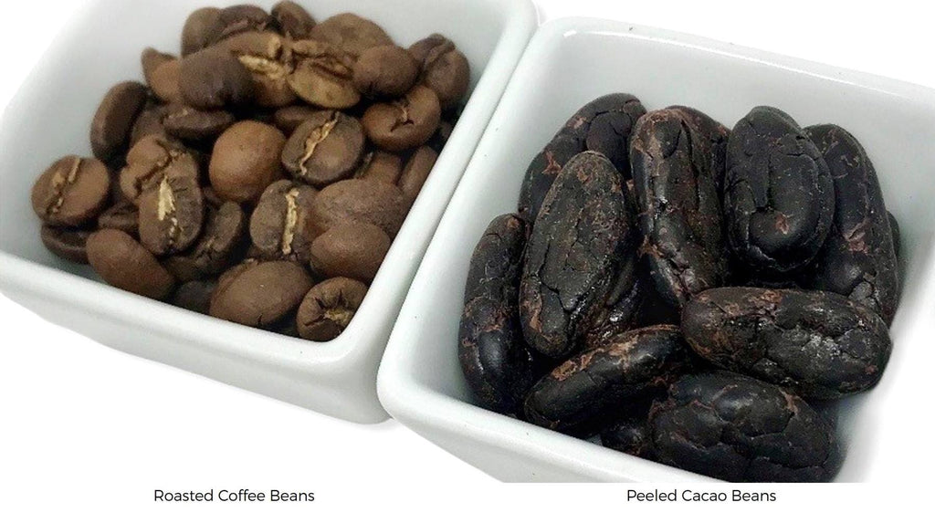 What's the difference between coffee beans and cacao beans?