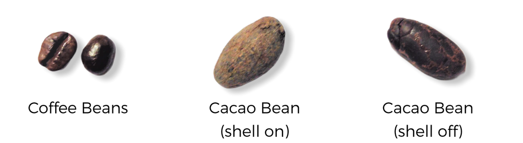 coffee-cacao-beans
