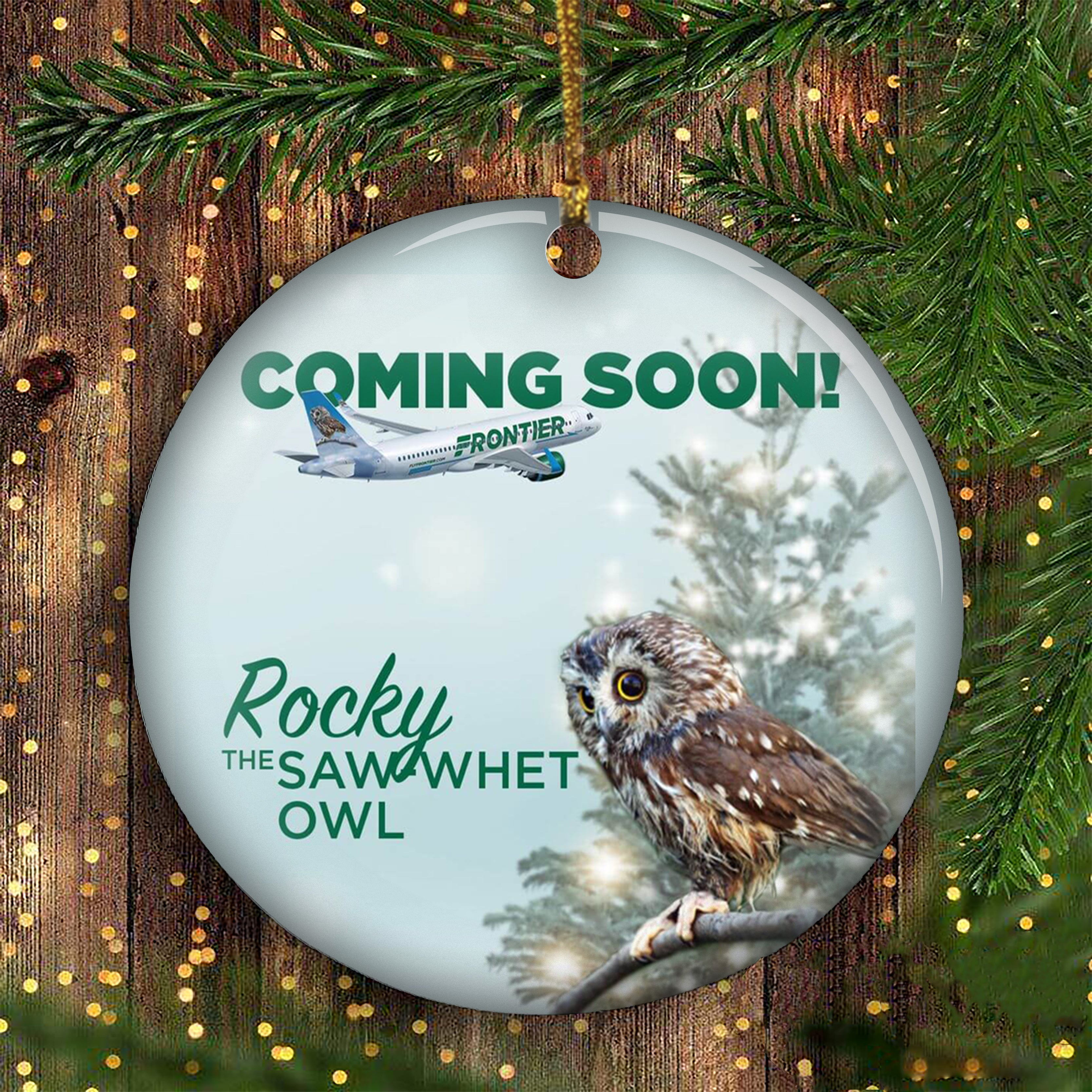 Owl inside the rockefeller tree