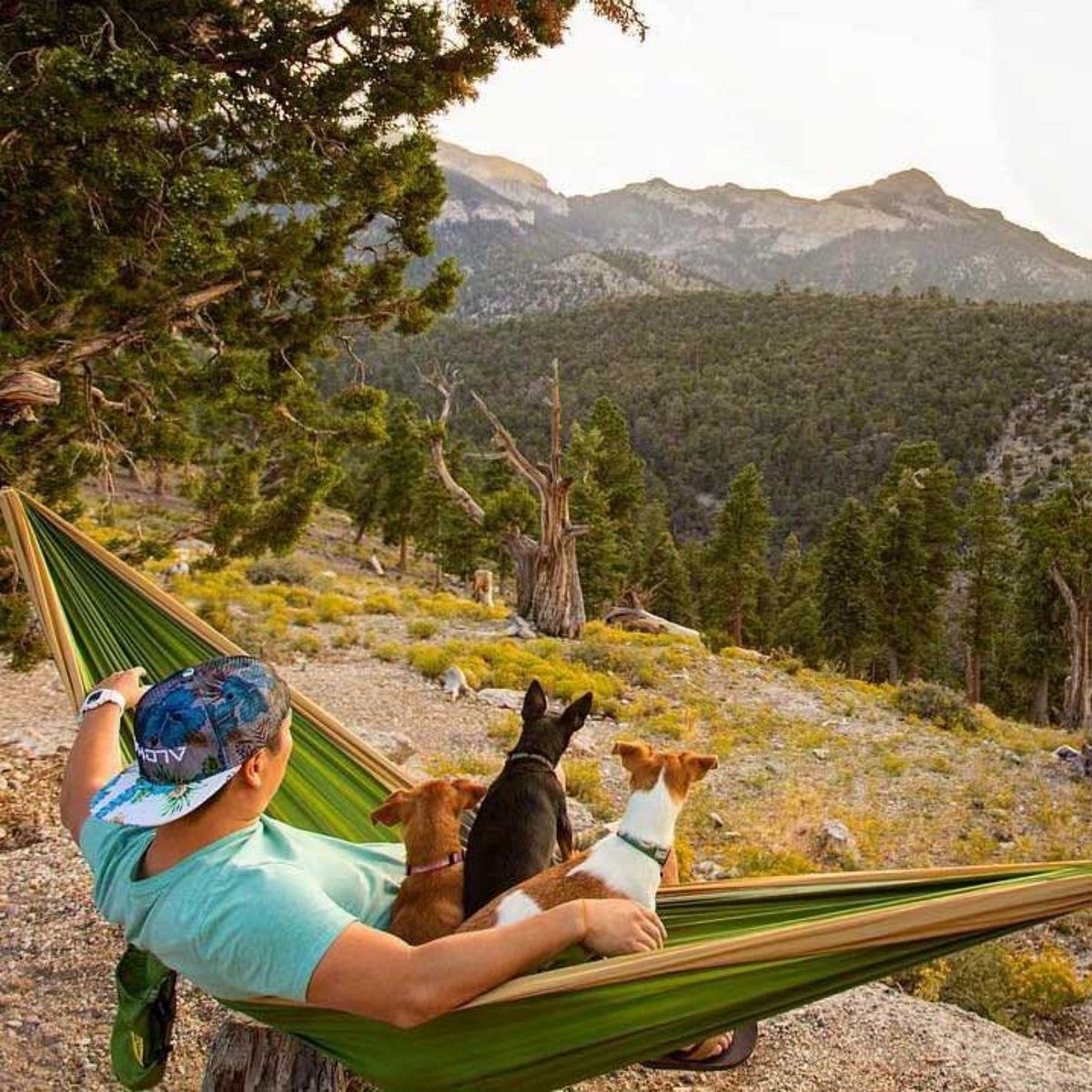 2021-The-Natural-Backpacker Camping Hammock - MUSSBUY