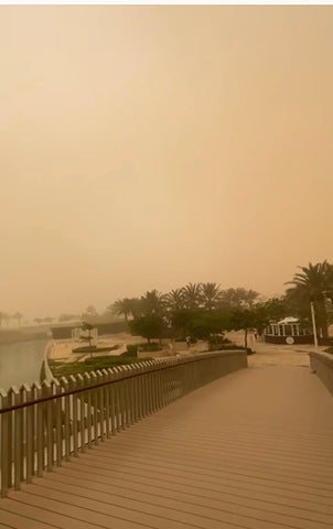 sandstorm in Ayla Oasis, Aqaba, Jordan