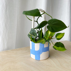 Heartleaf Philodendron in Na'Agua Blue Planer