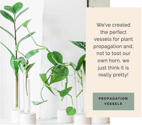 Plant Propagation Vessels