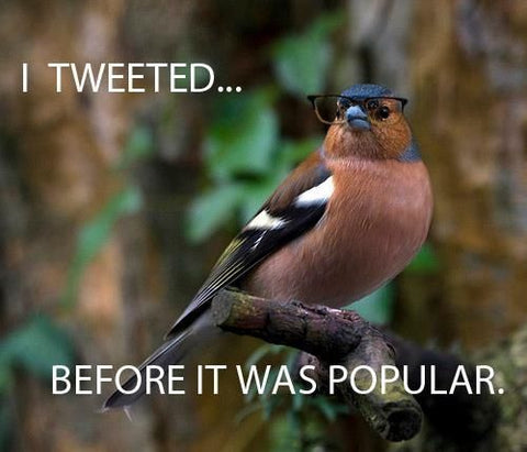 I tweeted before it was popular chaffinch meme