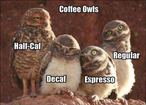 Coffee Owls Meme. Decaf, Espresso, Regular or Half Caf.