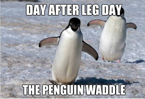 Day after leg day. The penguin waddle meme. 