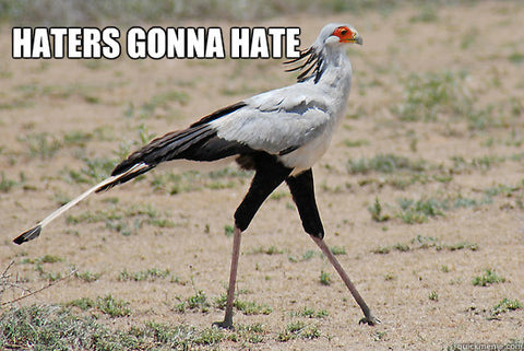 Haters gonna hate secretary bird meme. 