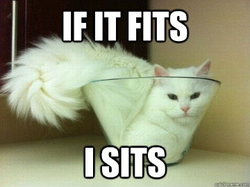 Cat sitting in a bowl, not in a cat cave