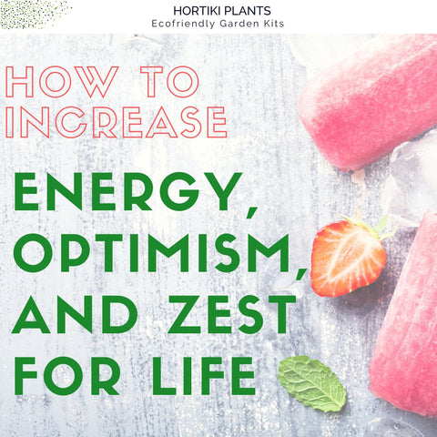 How to Increase Engergy, Optimism, and Zest for Life