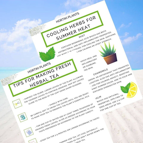 Herbal Tea Checklist. List of Cooling Herbs for Summer Heat.