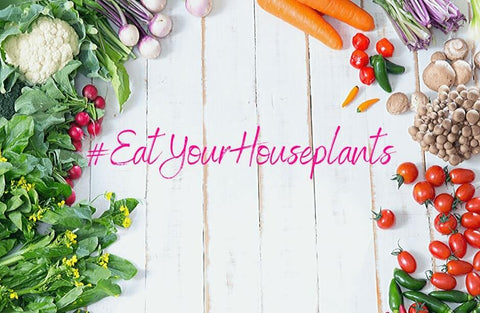 Hashtag Eat Your Houseplants