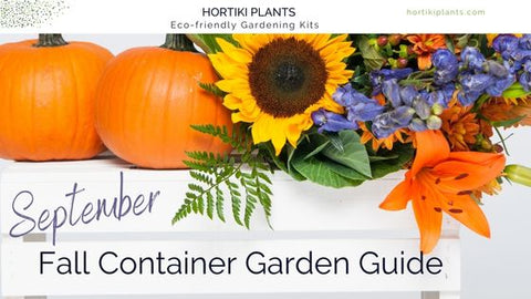 Fall container garden guide. What to plant in September