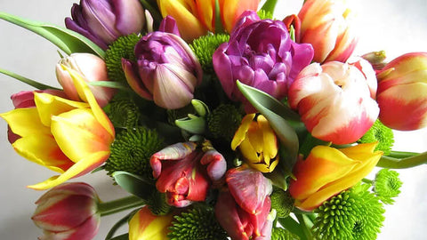 Bouquet, tulips